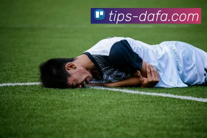 大发彩票全站App 大发彩票全站App